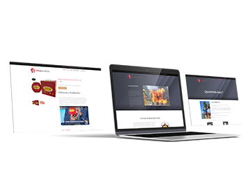 Proballtech – Pornic